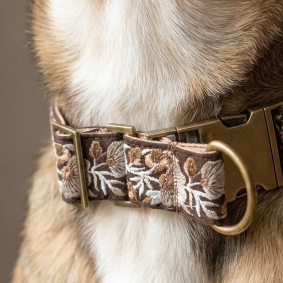 Martingale Collars