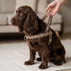 GoldBloom™ Norwegian Dog Harness