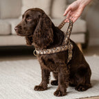 GoldBloom™ Norwegian Dog Harness