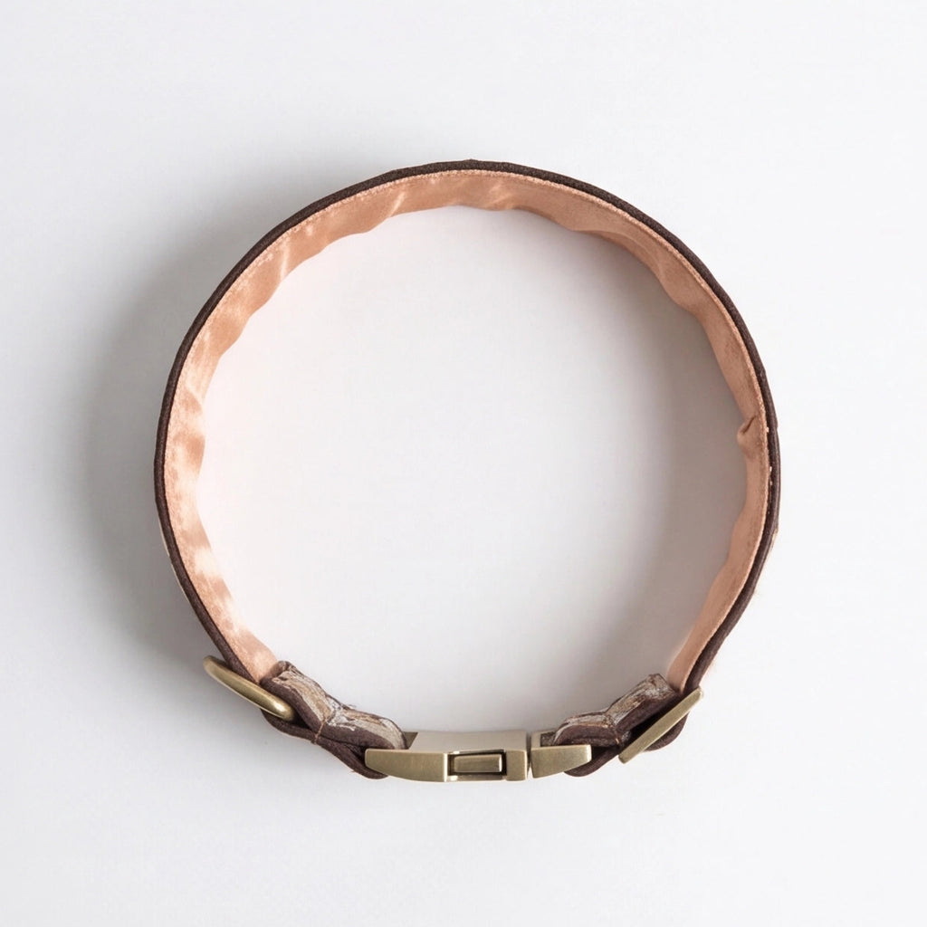 A stylish, decorative dog neck collar on a white background
