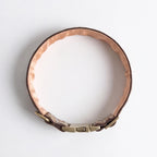A stylish, decorative dog neck collar on a white background