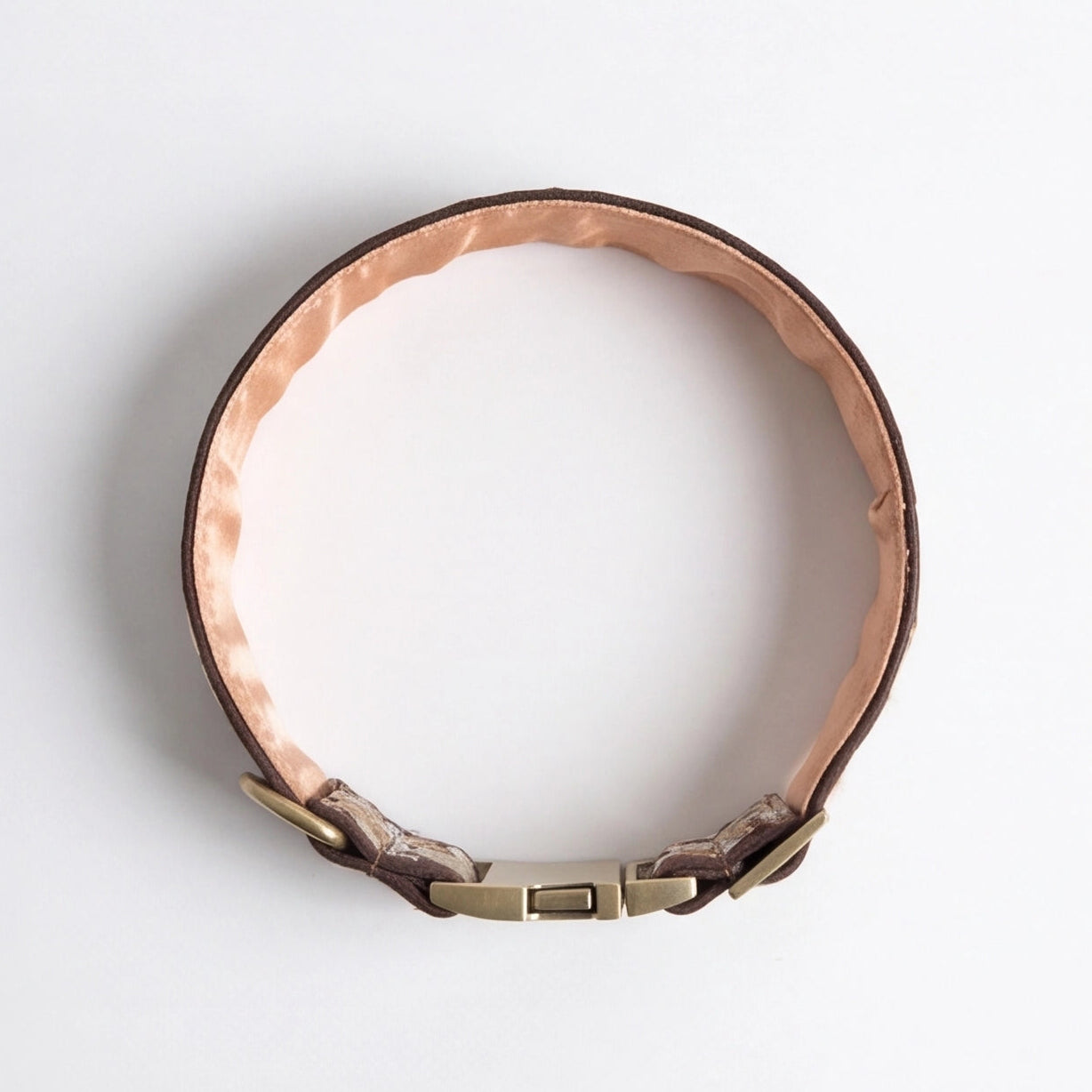 A stylish, decorative dog neck collar on a white background