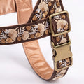Floral patterned dog harness with gold buckle on a white background