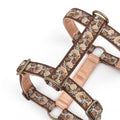 Floral patterned dog harness on a white background