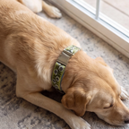 Sage Green™ Neck Collar