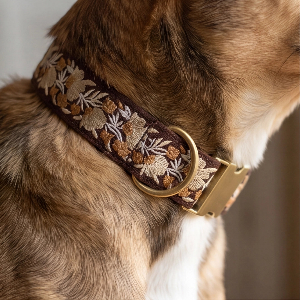 Dog collar with floral embroidery and gold buckle on a dog's neck
