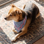 Love Loop™ Bandana Neck Collar