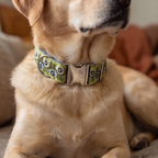Sage Green™ Neck Collar