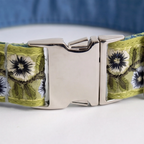 Sage Green™ Neck Collar