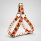 SummerSlice™ Step-In Harness