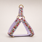 Berry Pop™ Step-In Harness