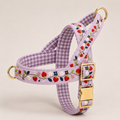 Berry Pop™ Norwegian Dog Harness