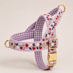Berry Pop™ Norwegian Dog Harness