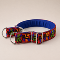 ColorPop™ Martingale Collar