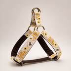 Honey Drip™ Step-In Harness