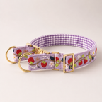 Berry Pop™ Martingale Collar