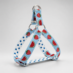 SummerSlice™ Step-In Harness
