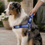Blue Frost™ Norwegian Dog Harness