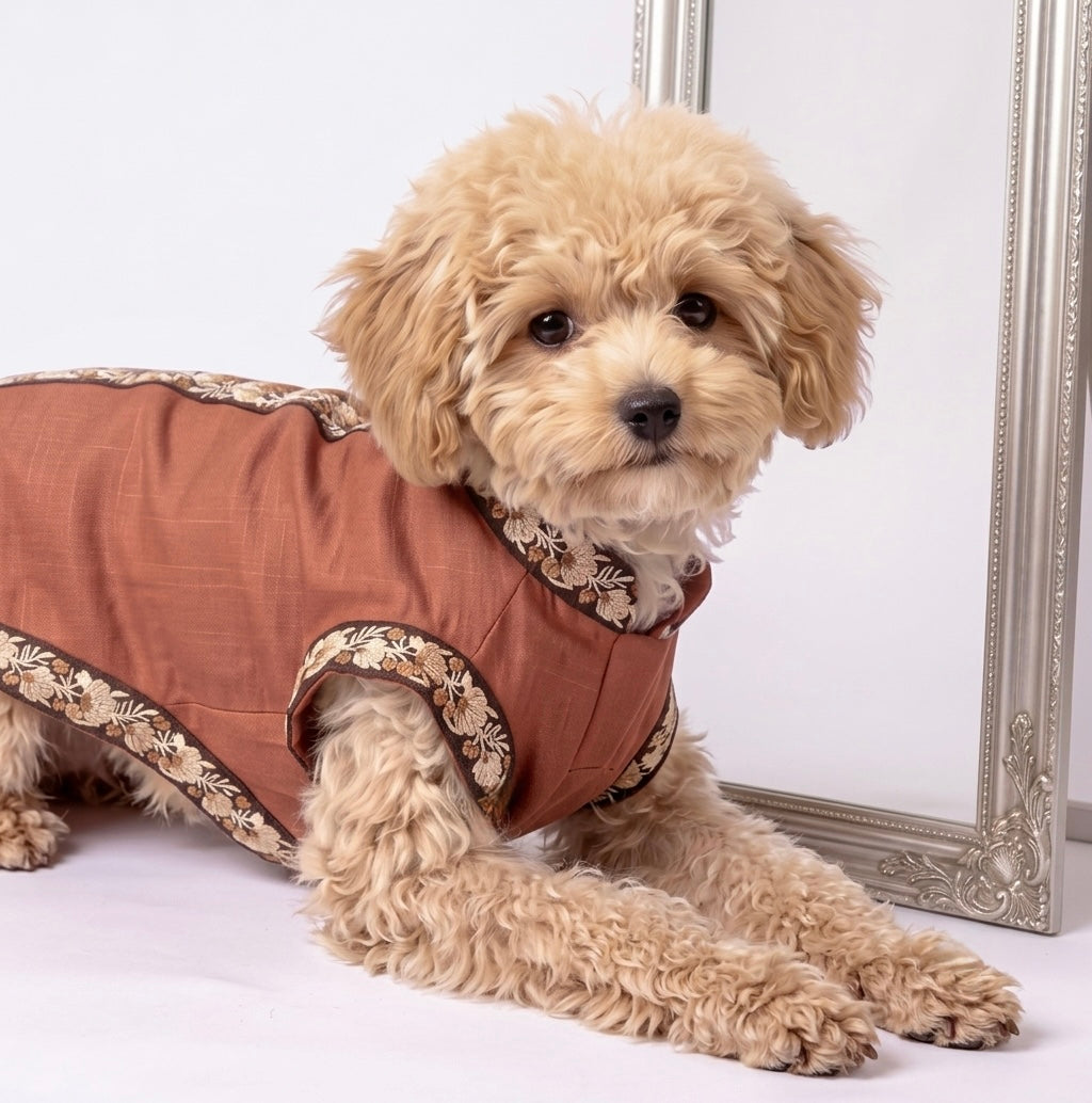 A small fluffy beige dog wearing a brown pet jacket with beige floral trim, lying on a white studio floor in front of a decorative silver mirror frame.
