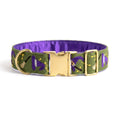 Hallow Spell™ Neck Collar