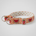 Summer Slice™ Martingale Collar