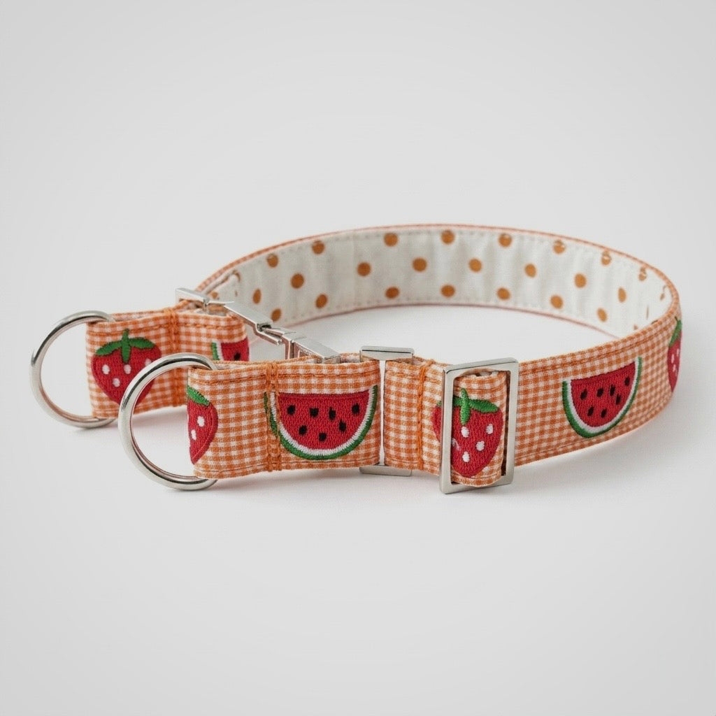 Summer Slice™ Martingale Collar
