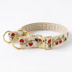 Berry Pop™ Martingale Collar