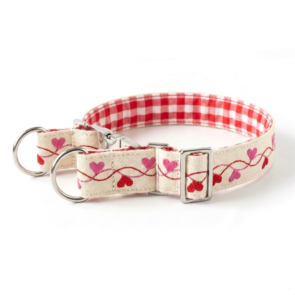 A fabric dog collar with a red and white gingham checkered pattern on the inner band, a cream-colored outer band decorated with embroidered pink and red hearts and vines, and silver metal hardware including two D-rings, a buckle, and a clasp.