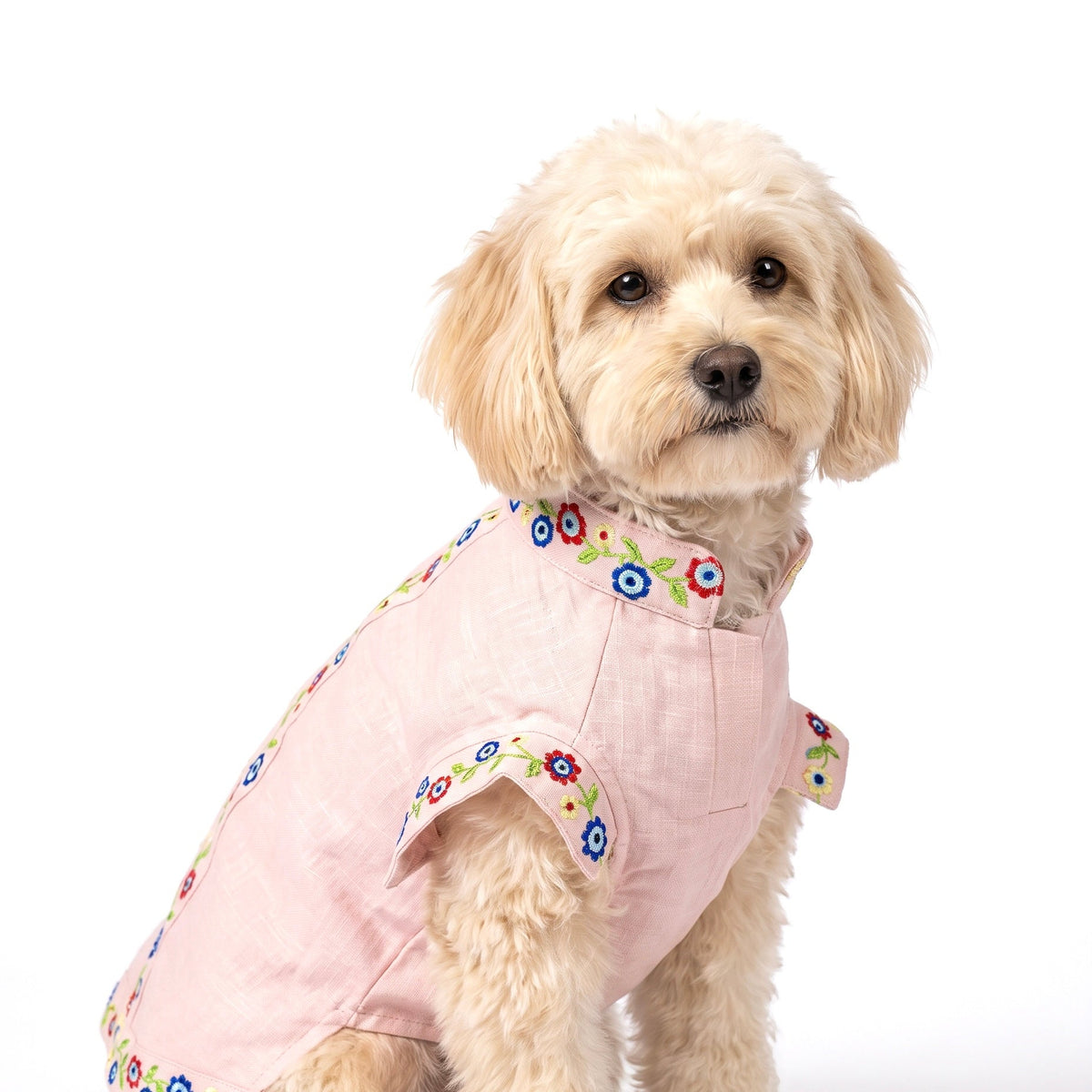 A small fluffy cream-colored dog wearing a light pink linen pet coat with colorful embroidered floral details, photographed against a solid white background.