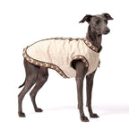 A gray dog wearing a cream-colored linen dog coat with brown and beige patterned trim, photographed against a solid white background.