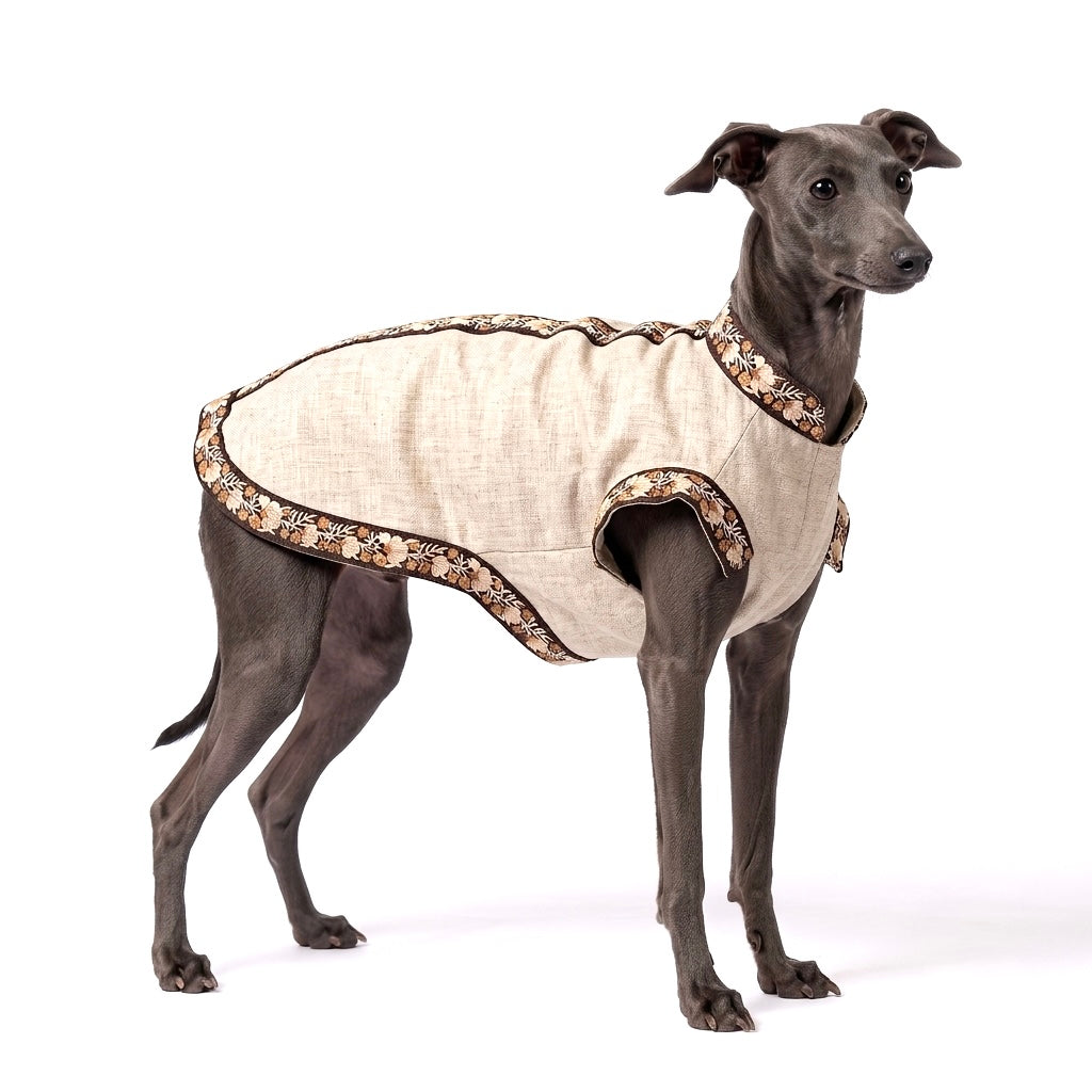 A gray dog wearing a cream-colored linen dog coat with brown and beige patterned trim, photographed against a solid white background.