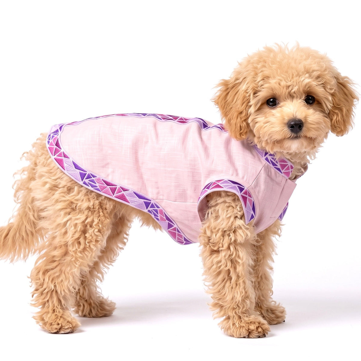 A small fluffy light brown dog wearing a light pink pet shirt with purple geometric patterned trim, photographed against a solid white background.