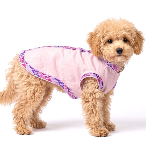 A small fluffy light brown dog wearing a light pink pet shirt with purple geometric patterned trim, photographed against a solid white background.