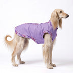 A long-haired light tan dog wearing a lavender purple dog coat with geometric patterned trim, standing against a plain white studio background.