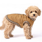 A small fluffy beige dog wearing a tan quilted pet coat with dark brown and white patterned trim, photographed against a clean white background.