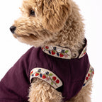 Berry Pop Kurta