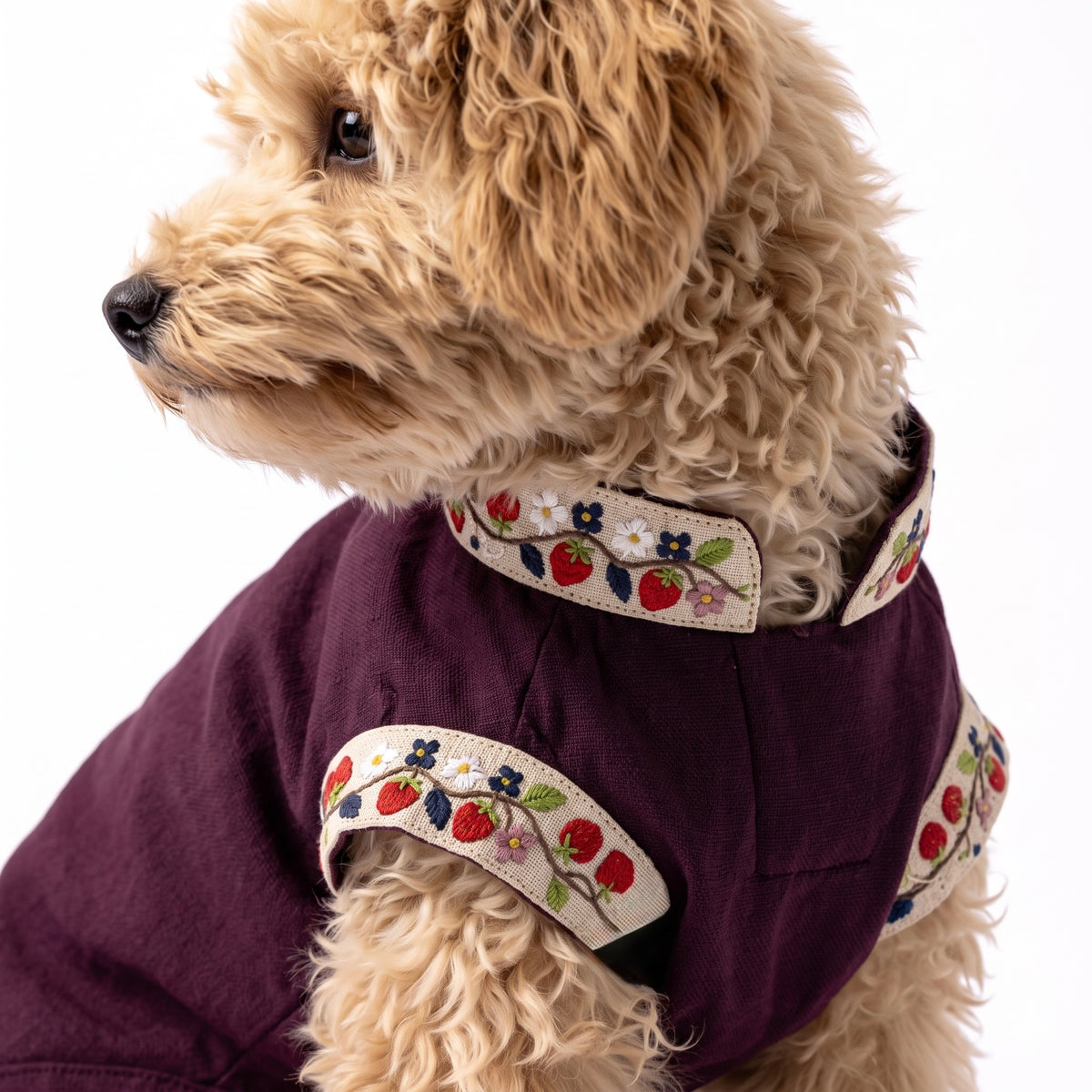 Berry Pop Kurta