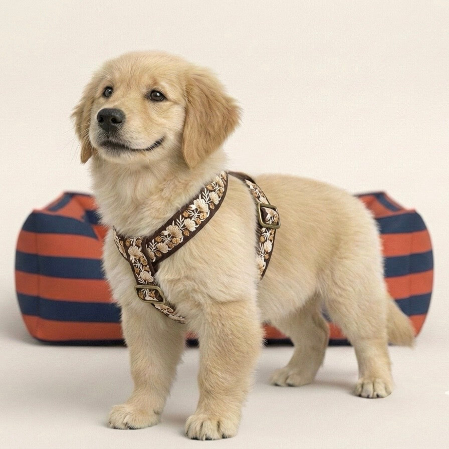 GoldBloom™ Step-In Harness