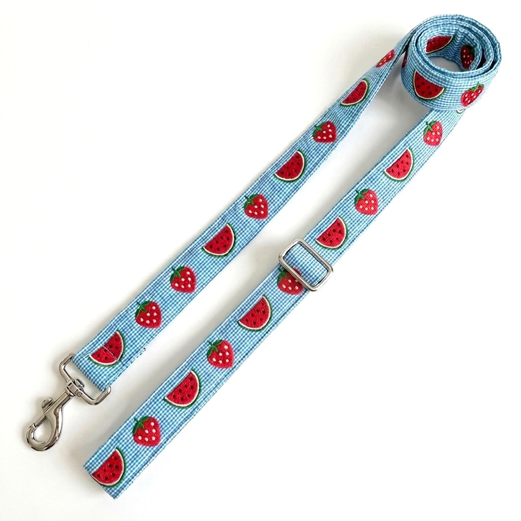 A light blue gingham dog leash with a repeating pattern of red watermelons and strawberries, featuring silver metal hardware including a swivel clasp and a quick-release buckle, shown on a plain white background.