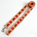 SummerSlice™ Adjustable Dog Leash