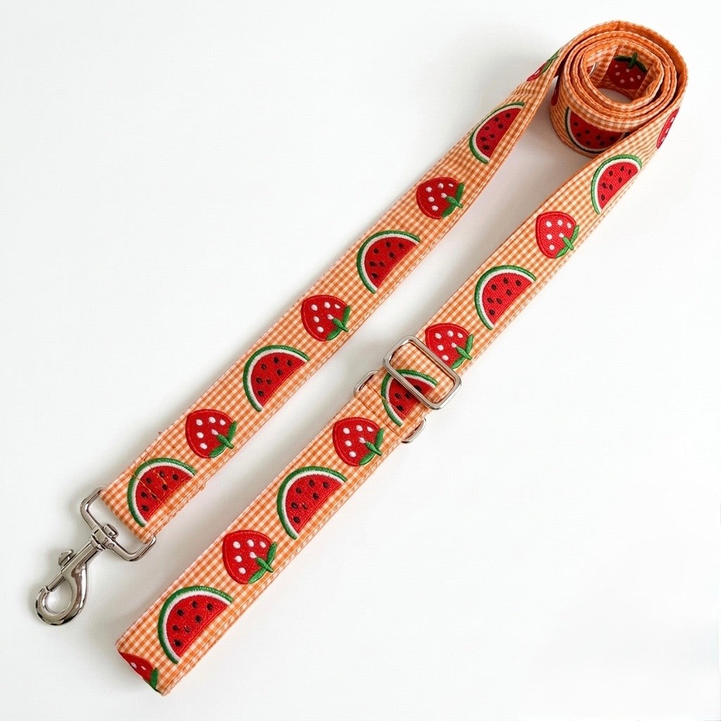 SummerSlice™ Adjustable Dog Leash