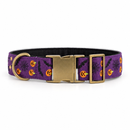 A purple dog collar with a Halloween pattern of orange pumpkins, black bats, spiderwebs, and stars, featuring a brass buckle and D-ring, shown on a white background.