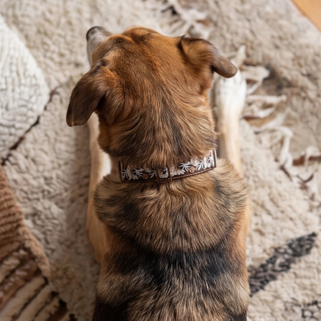 GoldBloom™ Martingale Collar