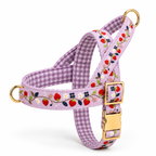 Berry Pop™ Norwegian Dog Harness