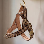 Dog harness with floral embroidery on a hanger against a neutral background