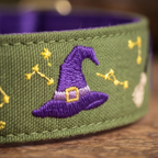 Hallow Spell™ Neck Collar