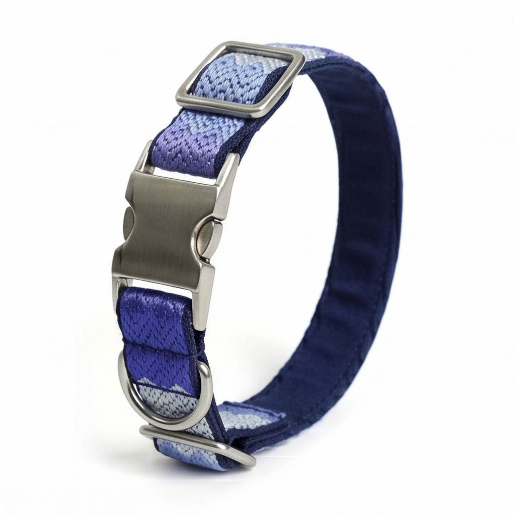 Blue and purple dog collar with metal buckle on a white background