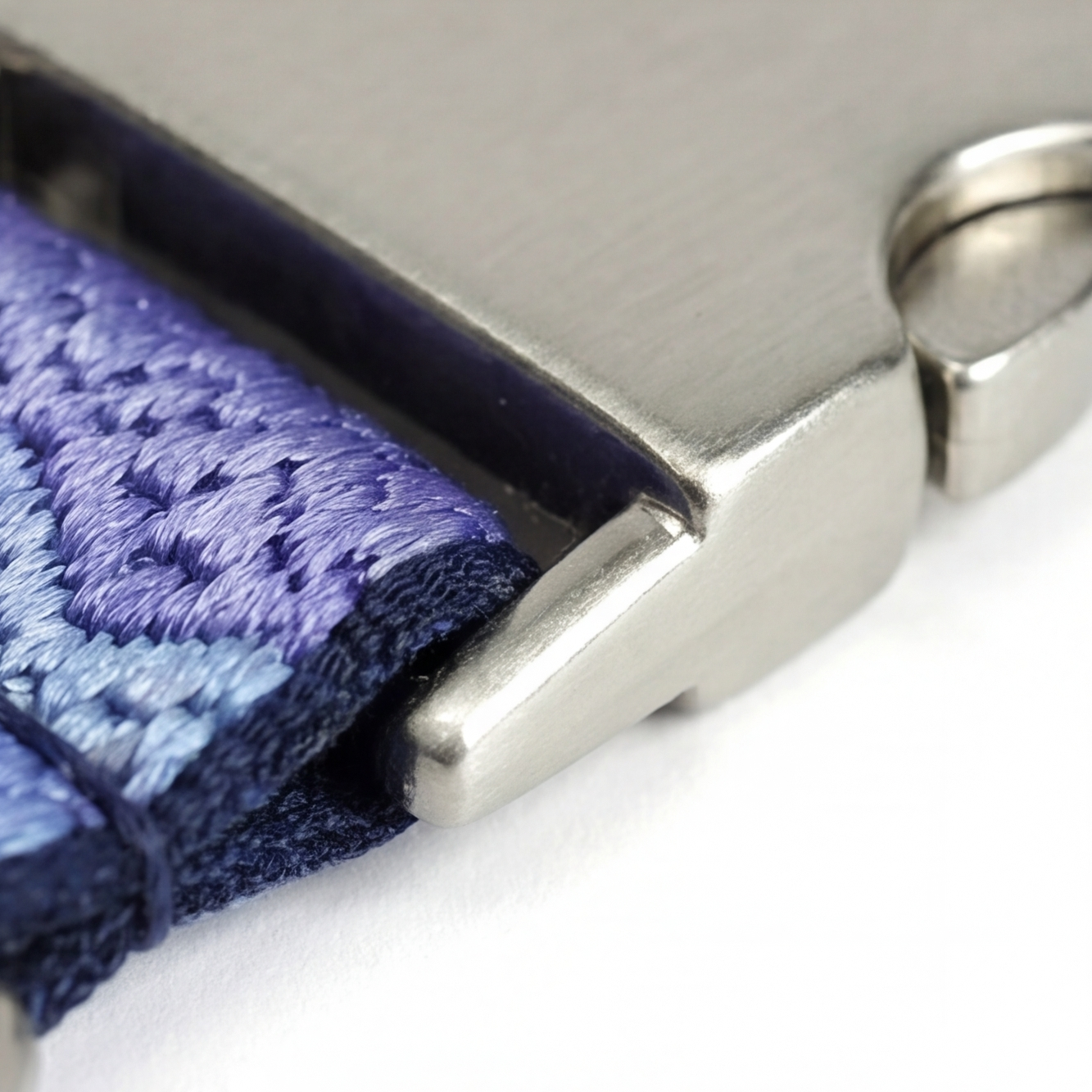 Close-up of a metallic clip on a blue textured dog collar