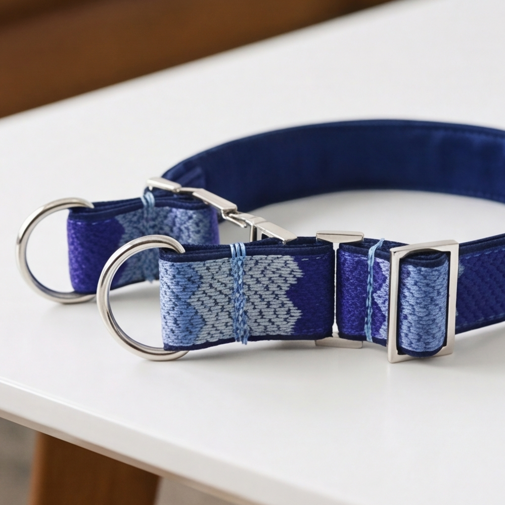 Blue dog collar with silver hardware on a white surface.