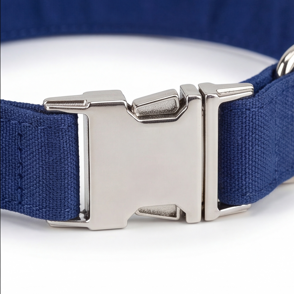 Blue dog collar with a silver buckle on a white background